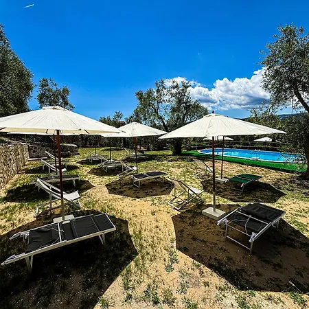 公寓 Valle Degli Ulivi *