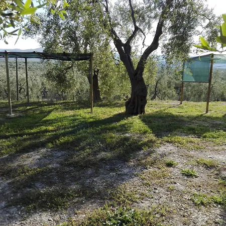 公寓 Valle Degli Ulivi *