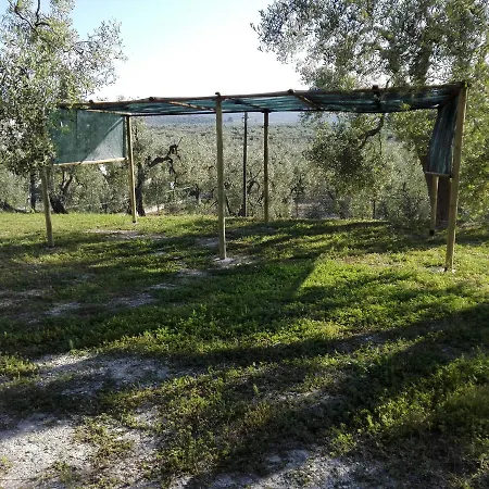 Valle Degli Ulivi 公寓 维耶斯泰