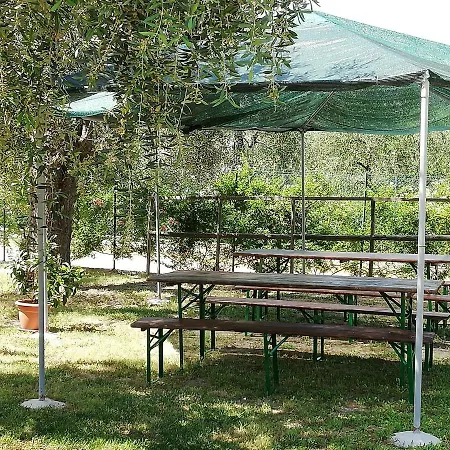 Valle Degli Ulivi 维耶斯泰