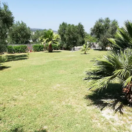 Valle Degli Ulivi 公寓 *