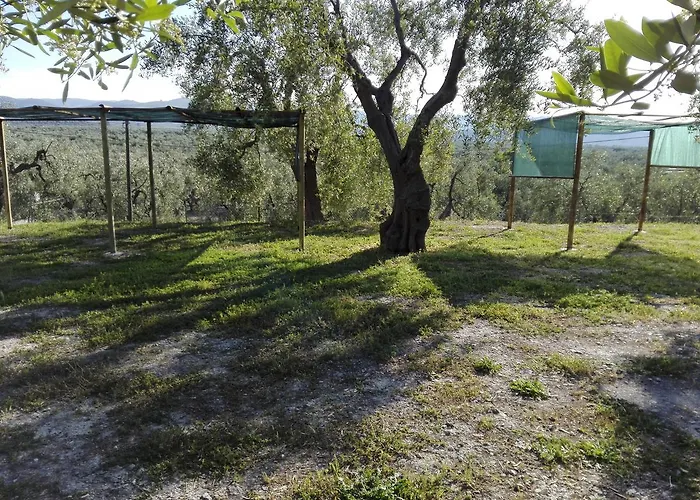 شقة Valle Degli Ulivi *